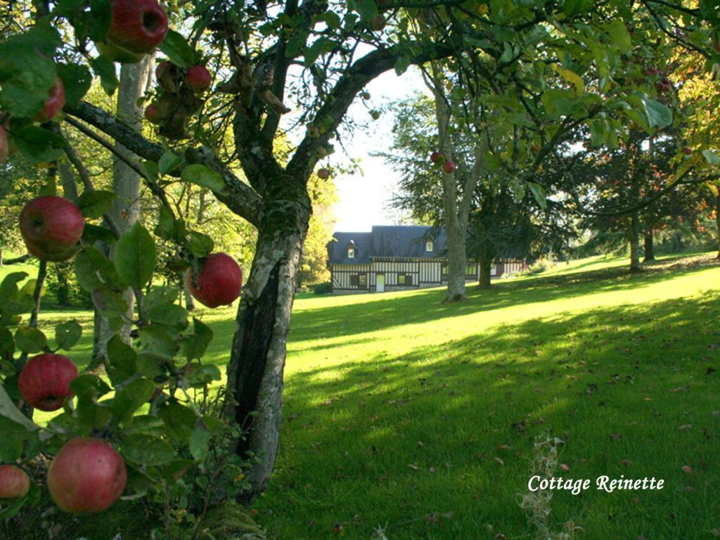 Les Fermes De Florence Bien Etre Et Nature Les Champeaux Rom bilde